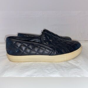 Steve Madden women’s sneakers